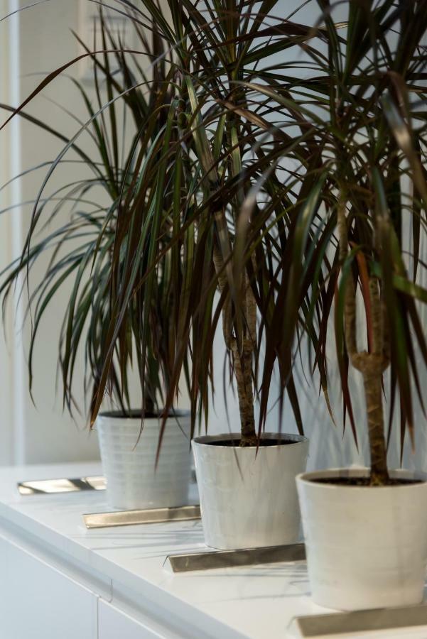 Central Cozy Studio With A Secret Garden Афины Экстерьер фото